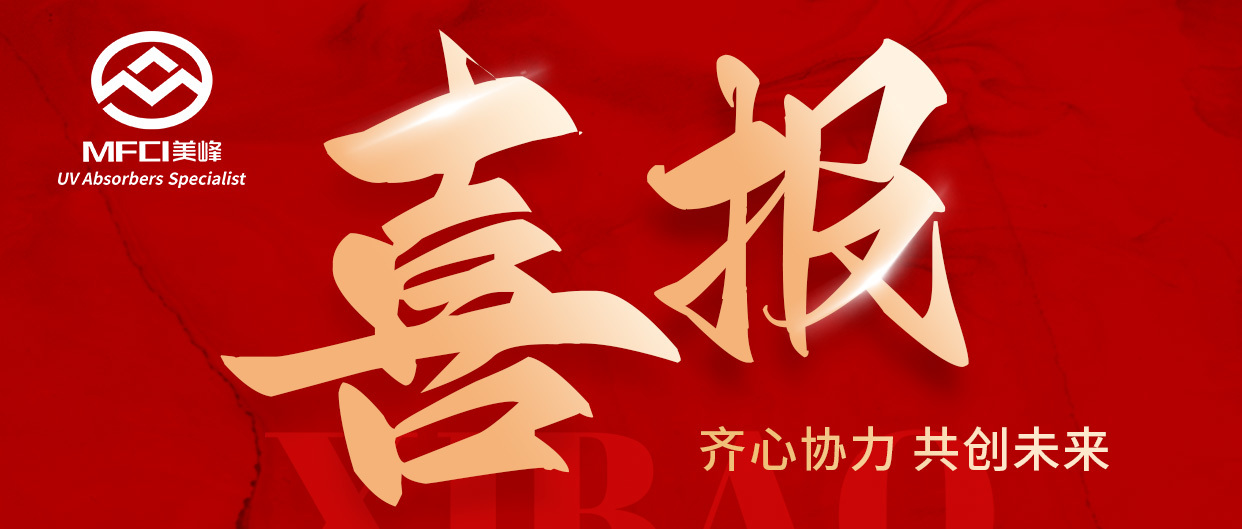 黃岡美豐載譽(yù)前行，入選湖北省 “2024 年度省級工業(yè)設(shè)計中心！