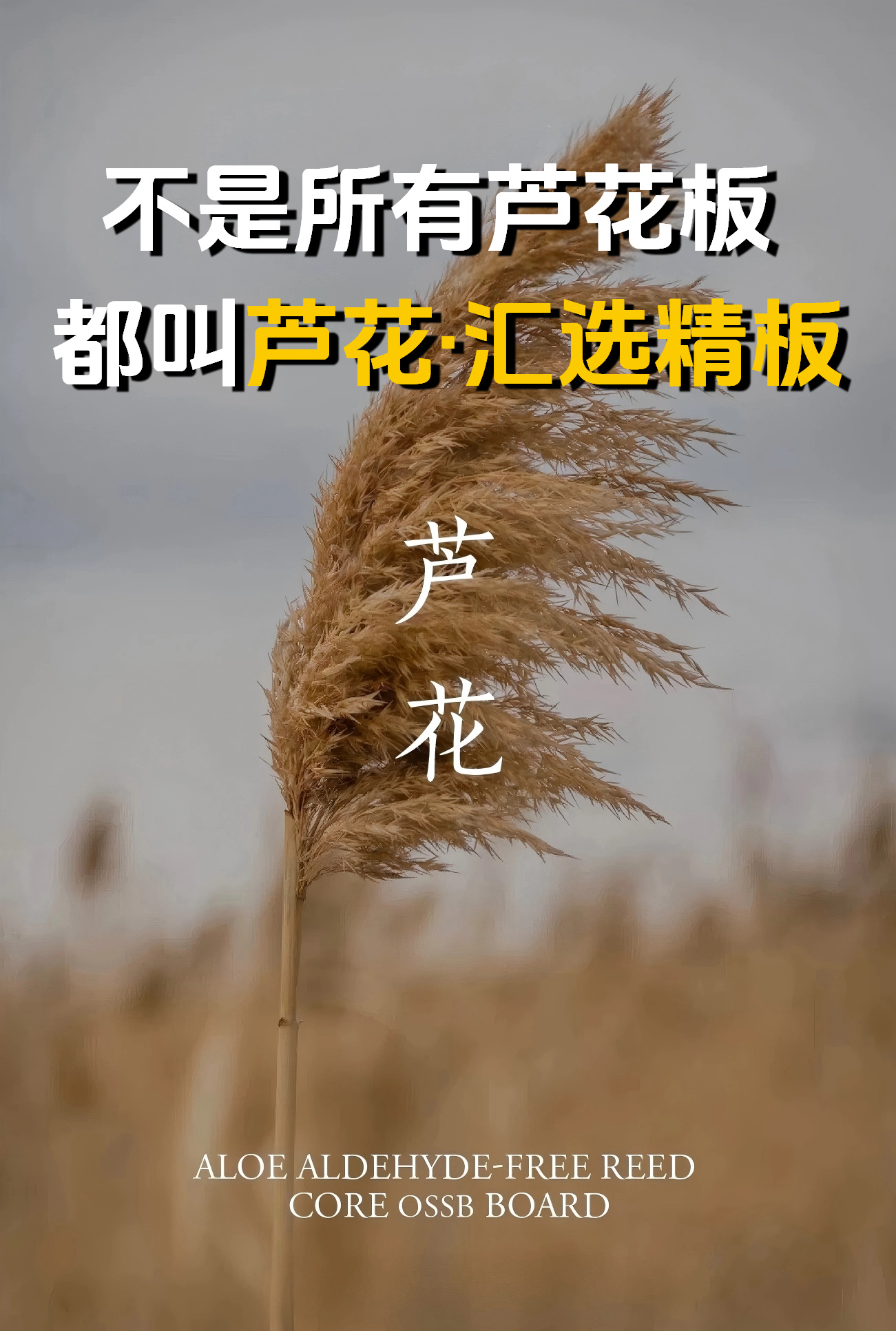 不是所有蘆花板，都叫蘆花匯選精板