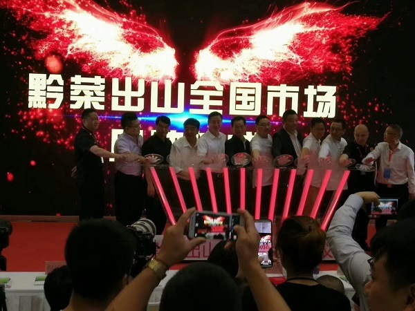 狮子会 - 打造绿色游戏娱乐