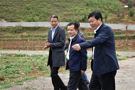 郭峻副州长副县长郭真向人大副主任李学付到原种场考察考察-贵州金禾农业有限公司