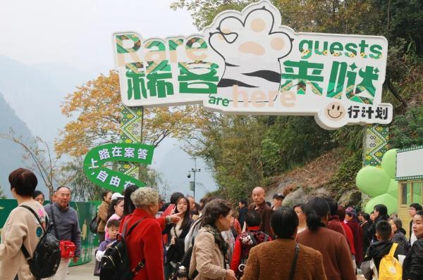 “影画山水 仙山秘境”清江画廊影画游玩法全解析，千万别错过！