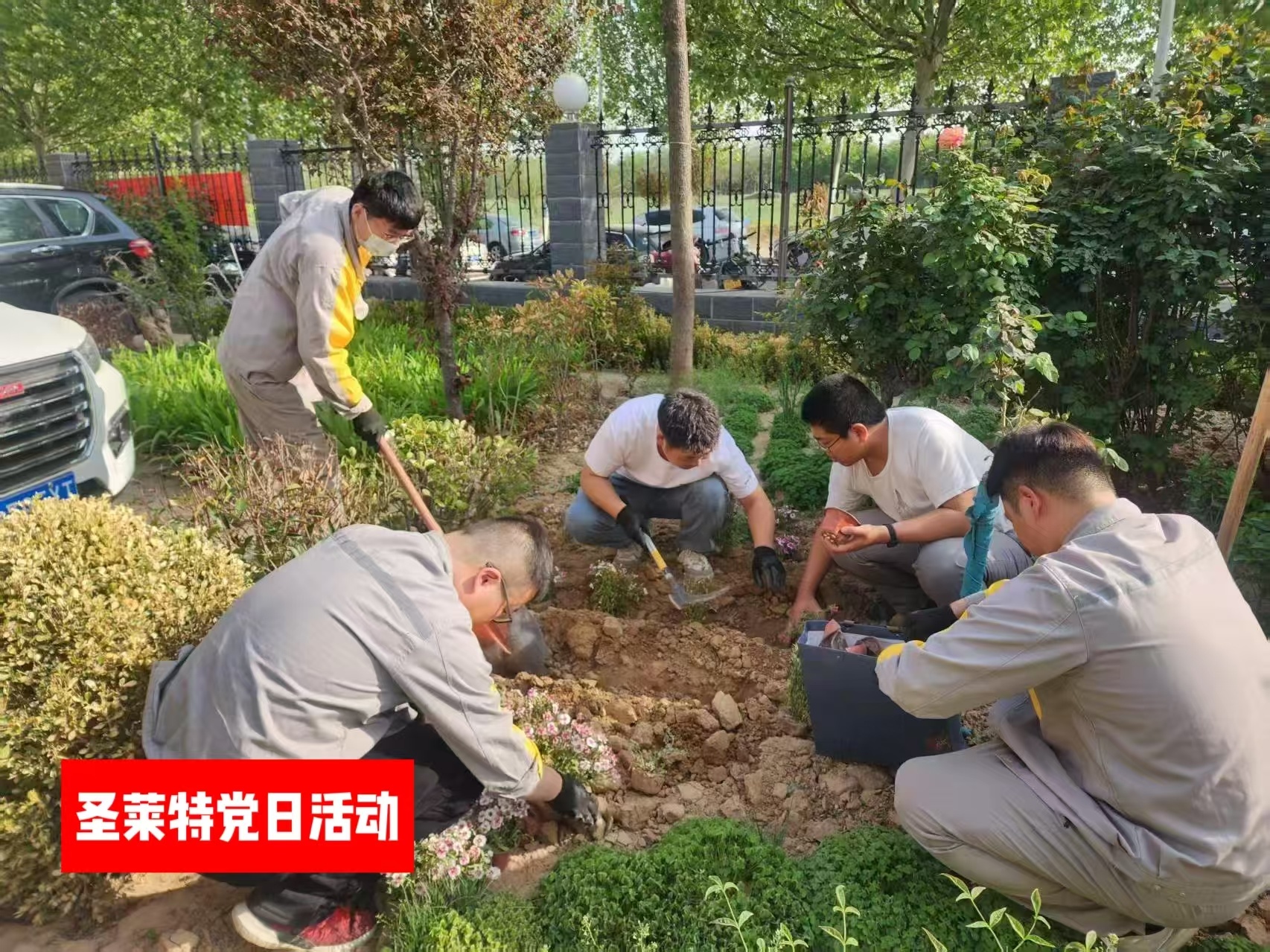 圣莱特主题党日——春日种植活动纪实