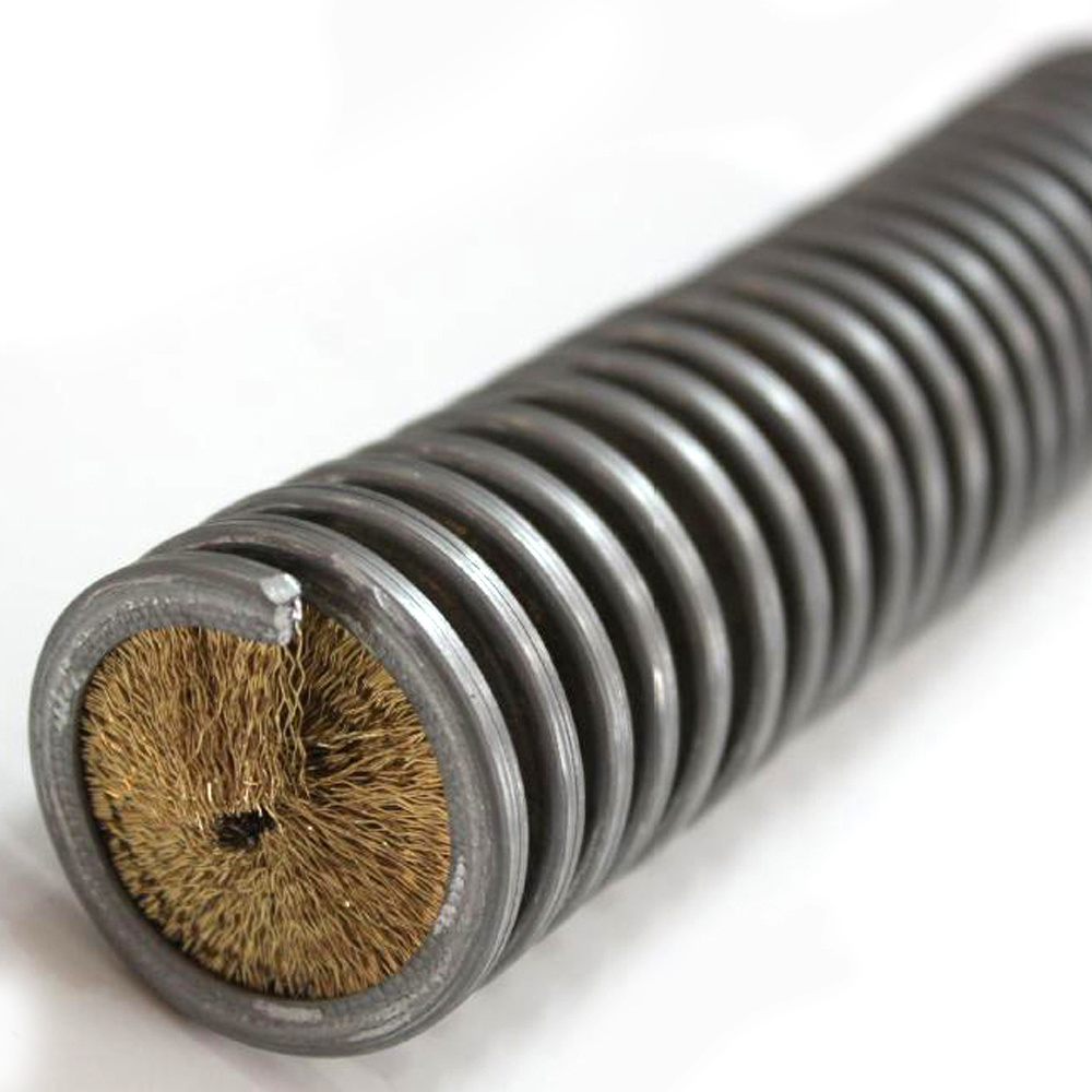 Coiled spring brush