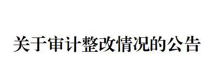 關(guān)于審計整改情況的公告