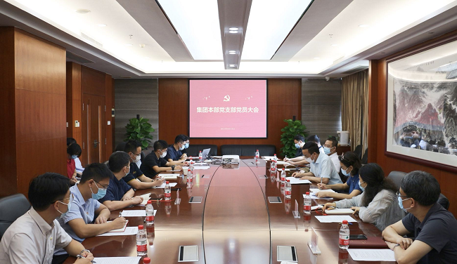 集團(tuán)本部黨支部開展黨史學(xué)習(xí)教育專題組織生活會(huì)暨領(lǐng)導(dǎo)干部講專題黨課