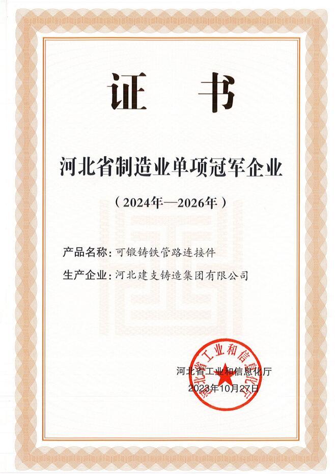 Hebei manufacturing industry single champion enterprise certificate