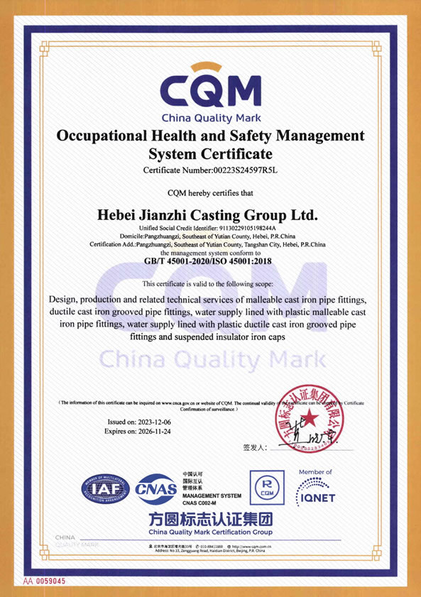 Occupational health and safety system certification