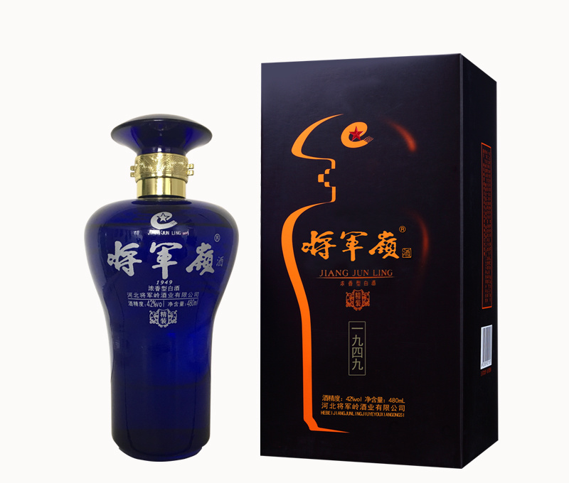 紀(jì)年·精裝1949