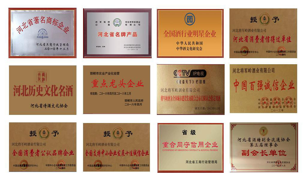 所獲榮譽(yù) 所獲榮譽(yù)