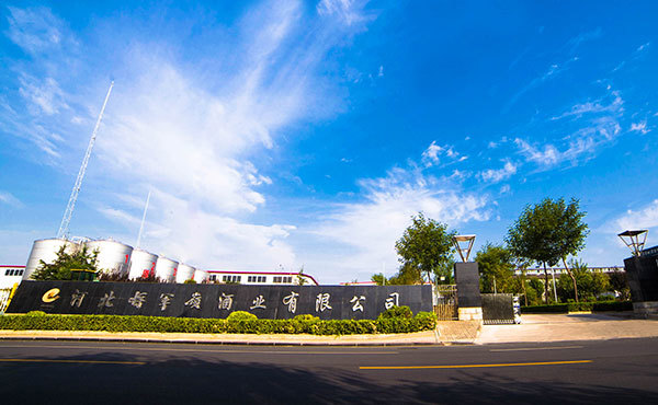 河北將軍嶺酒業(yè)有限公司 河北將軍嶺酒業(yè)有限公司