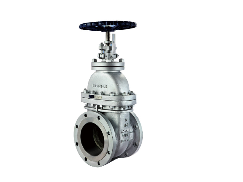 Cast steel gate valve