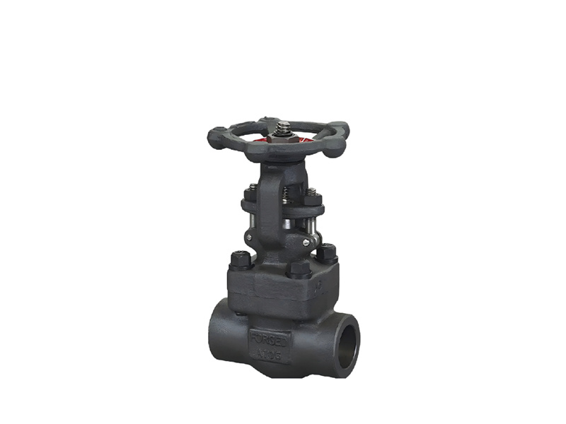 Forged steel gate valve