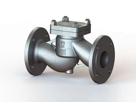 Hydrogenation lift check valve