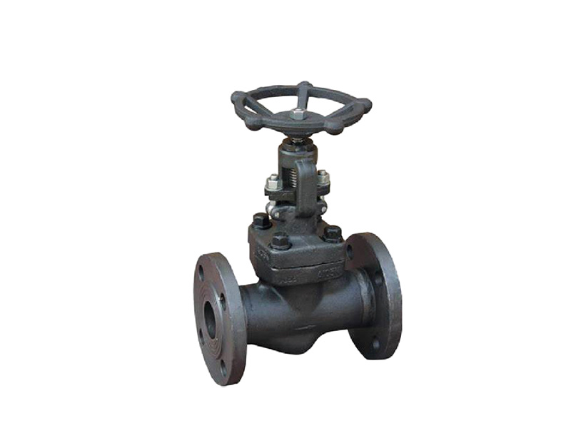 Forged steel gate valve