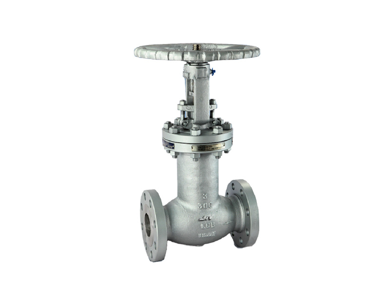 Cast Steel Gate Valve