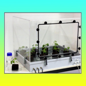 C13气体标记植物培养系统