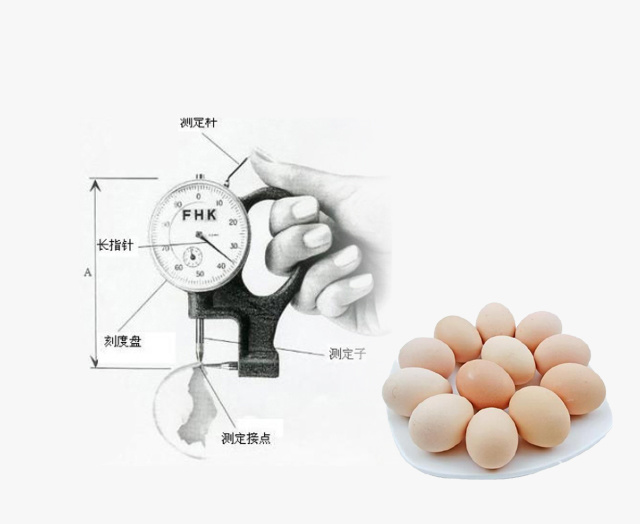 蛋壳厚度测量仪