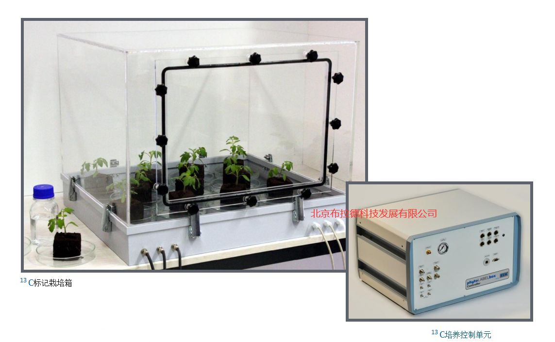 C13 Gas Marker Plant Culture System