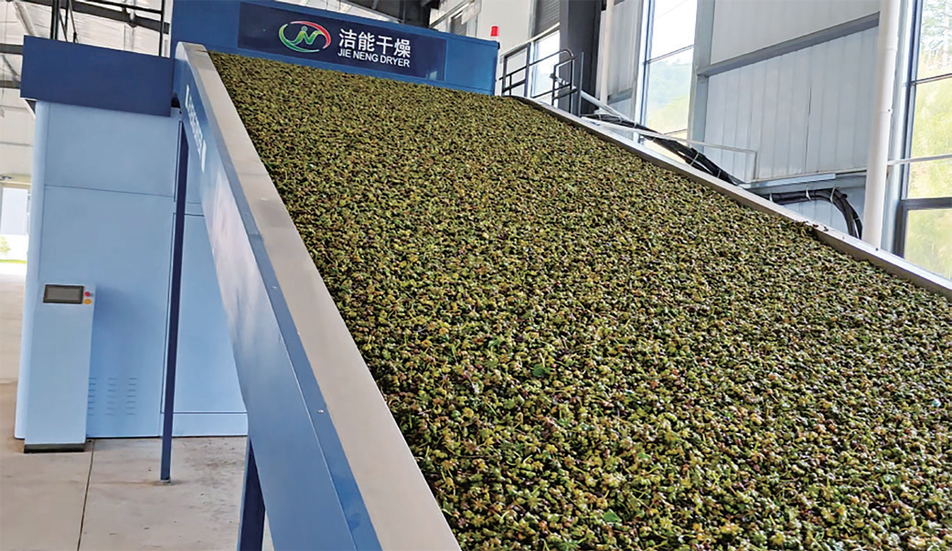 Star anise drying production line