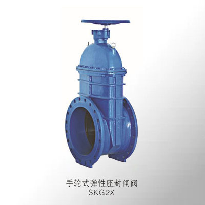 大口徑彈性座封閘閥