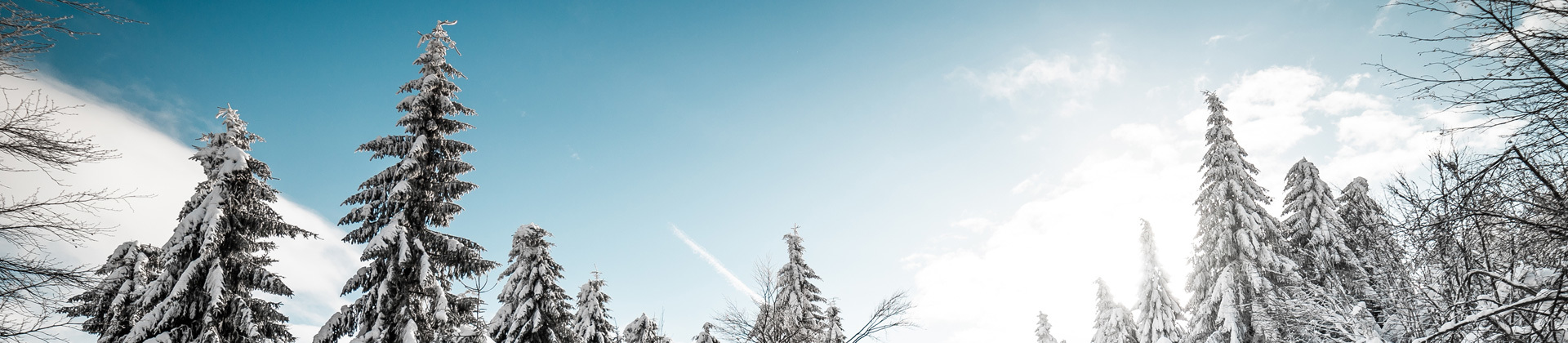 Snow Chains