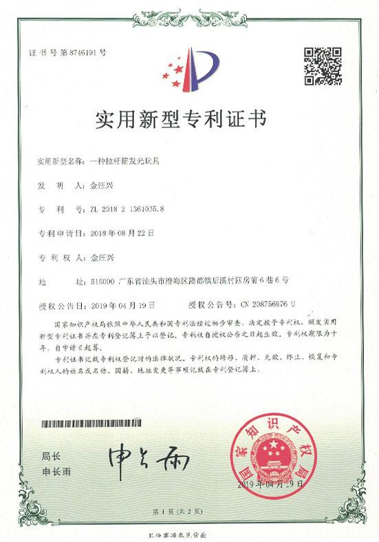 Patent Certificate 5