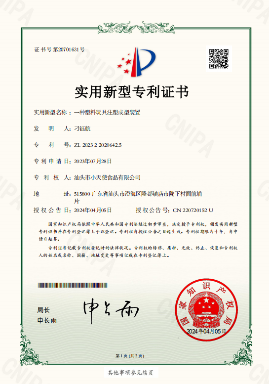 Patent Certificate 10