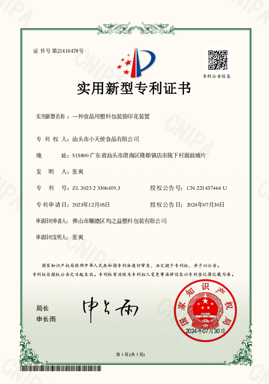 Patent Certificate 9