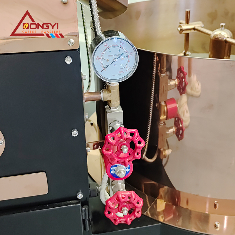 DY-6KG ELECTRIC & GAS COFFEE ROASTER