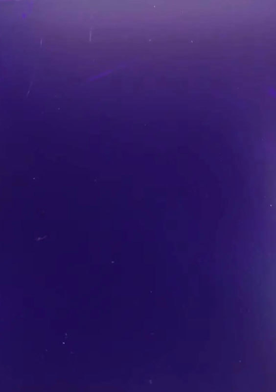 紫色亮光膜