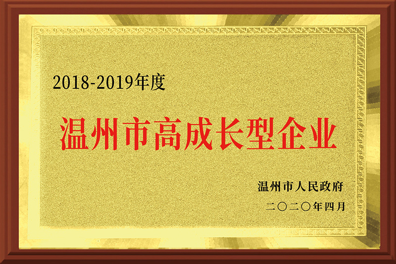 温州市高成长型企业