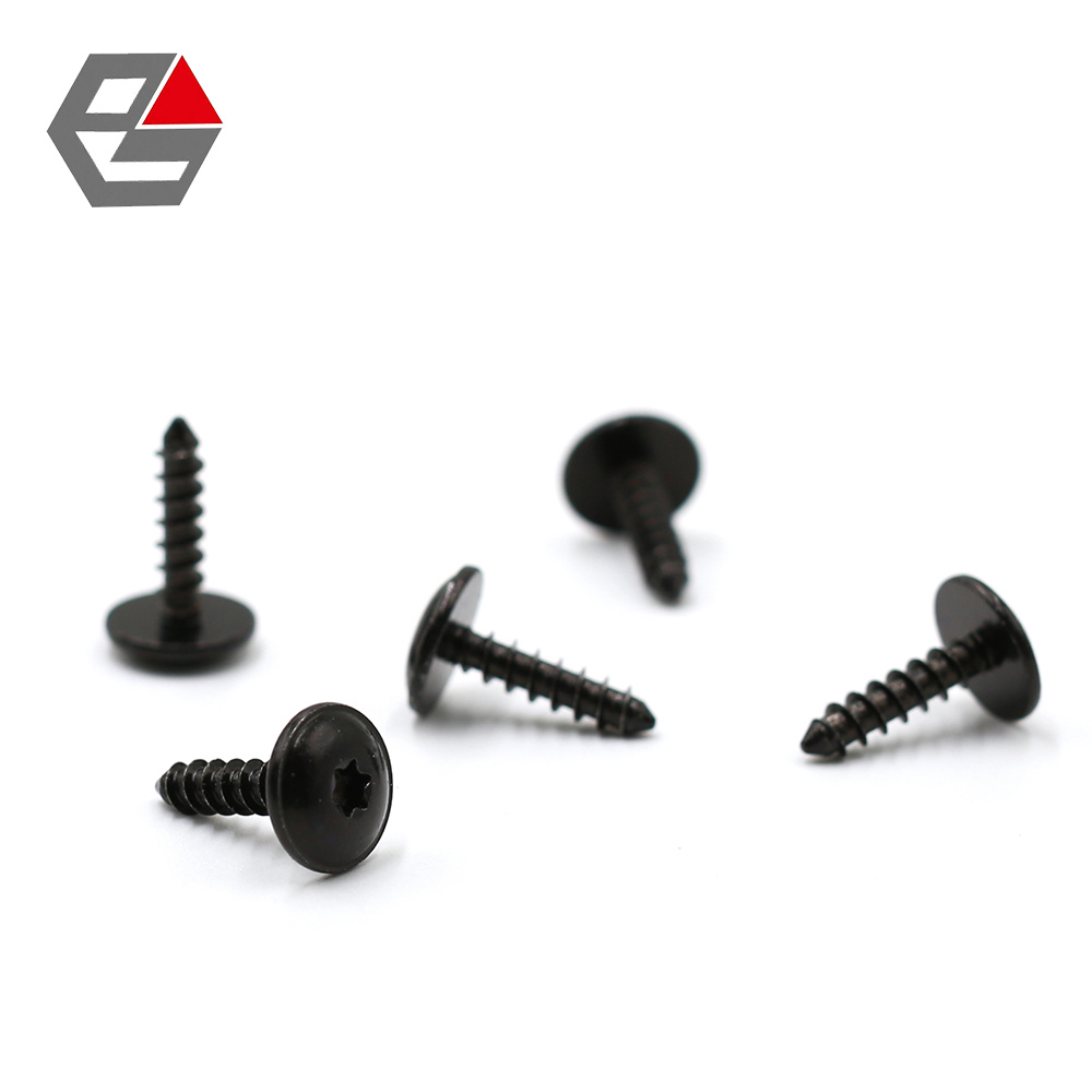 Recessed Truss Head Self-tapping Screw Torx Recess
