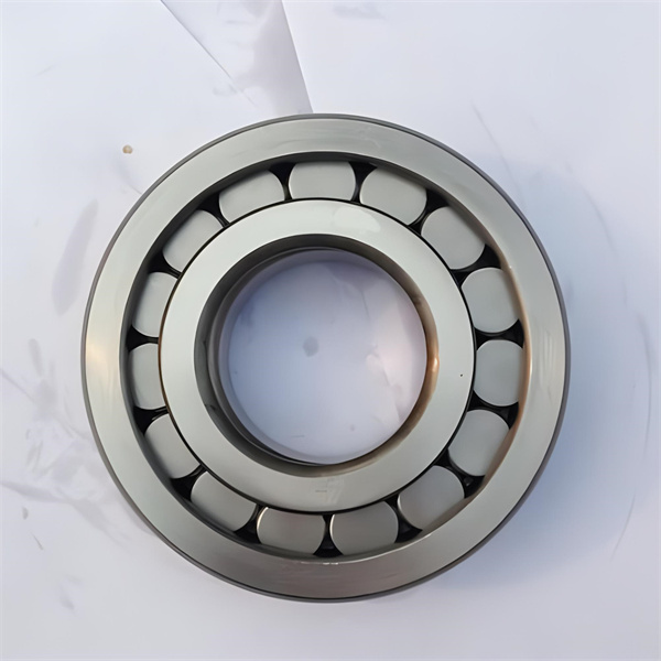 Full Complement Cylindrical Roller Bearings