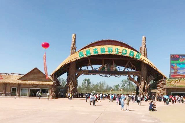 工程案例