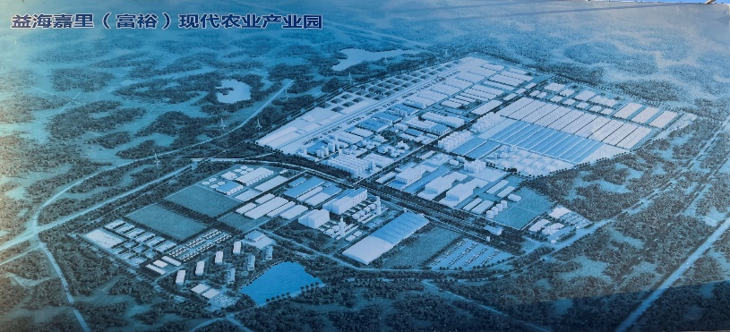 益海嘉里(富裕）能源有限公司熱電廠一期DCS系統(tǒng)