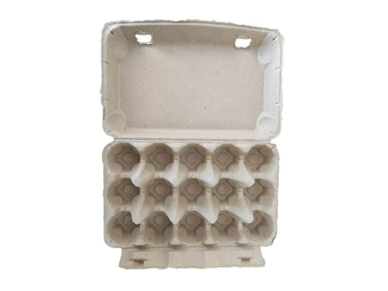 15 egg box-regular version