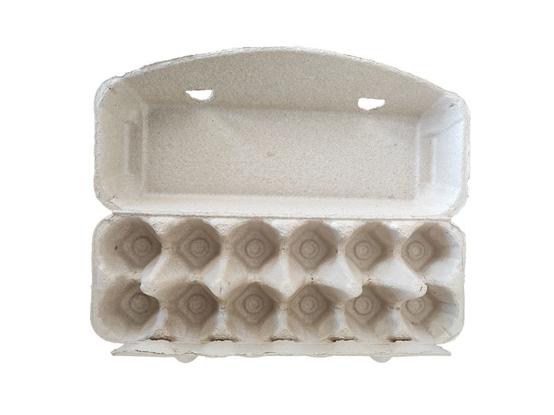 Box of 12 eggs