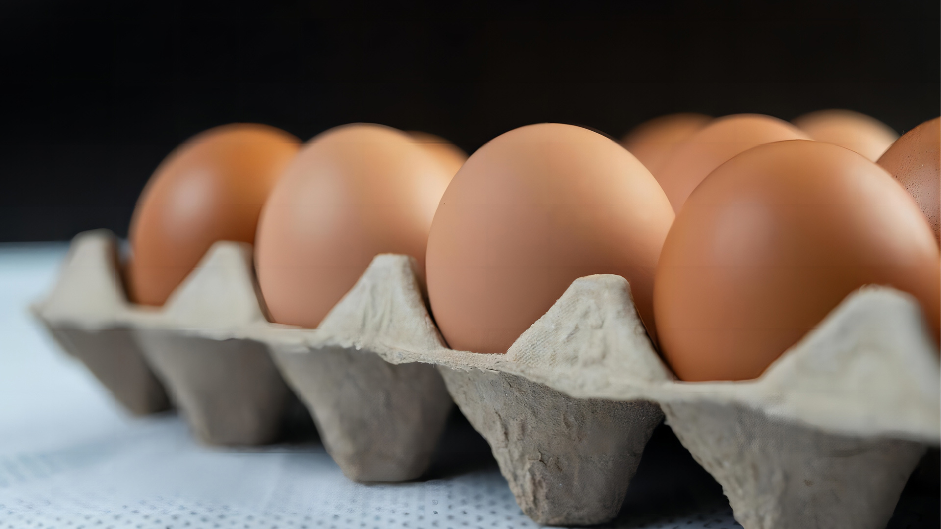 Years of focus on egg tray research and development, production and sales