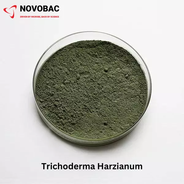 TRICHODERMA HARZIANUM