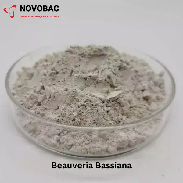 BEAUVERIA BASSIANA