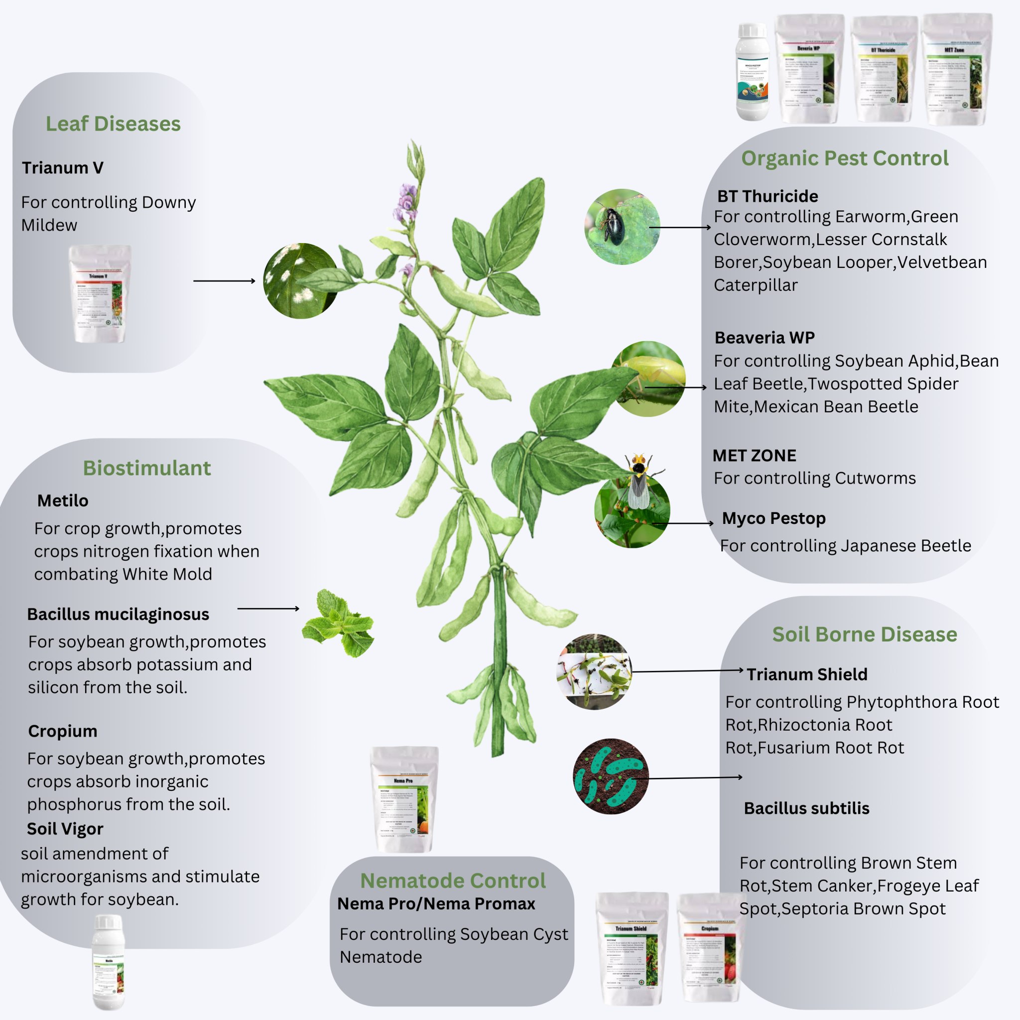 Infographic of soybean pest and disease management products, highlighting solutions for leaf diseases, organic pest control, biostimulants, soil-borne diseases, and nematode control on a soybean plant.