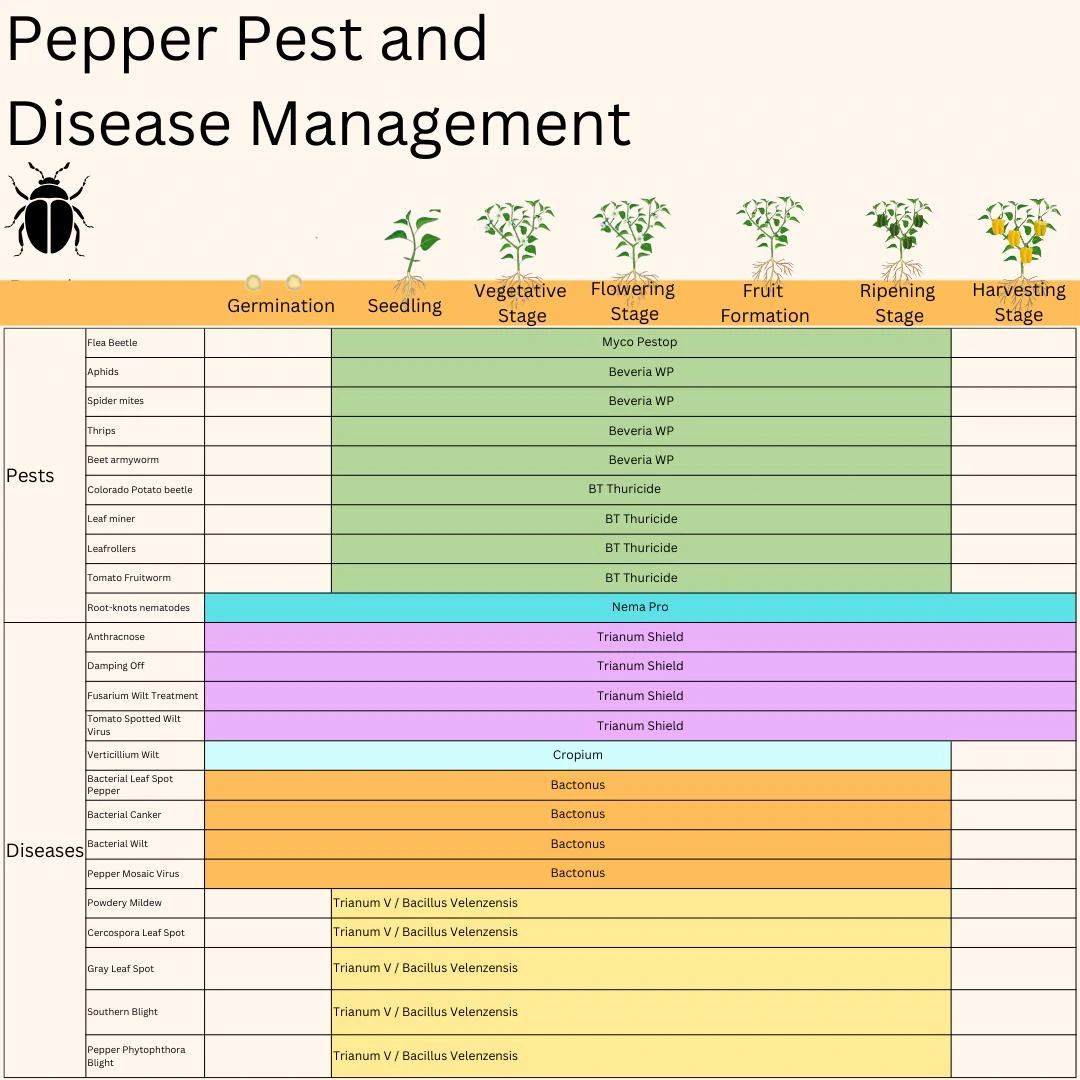 pepper pest and disease control management