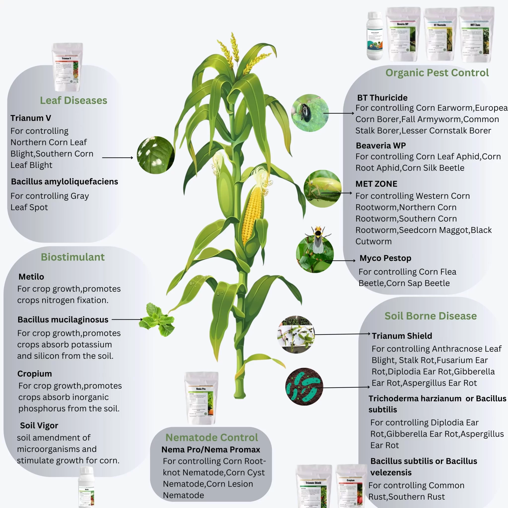 corn pest and disease biological solution