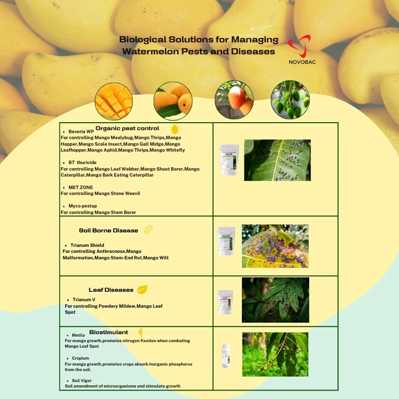 Mango Pests and Diseases biological solution