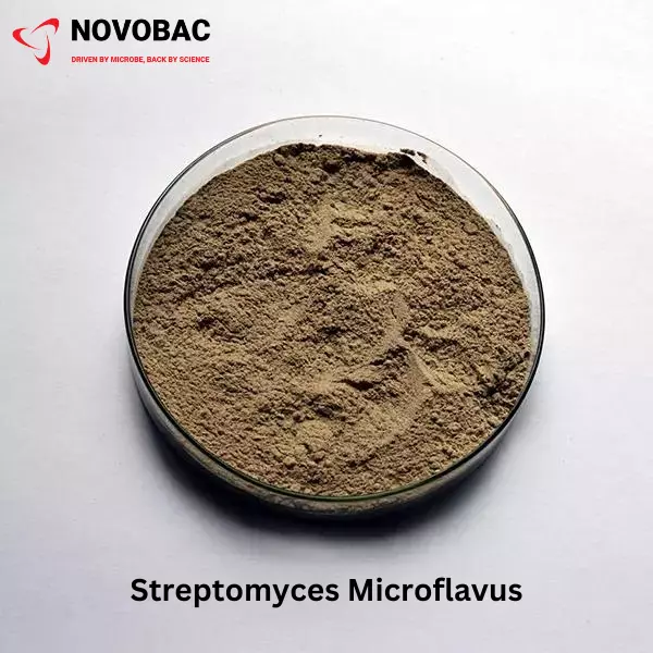 STREPTOMYCES MICROFLAVUS