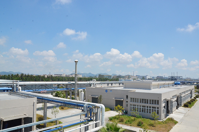 Company environment