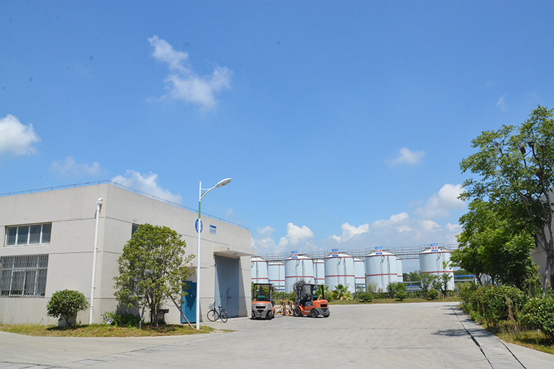 Company environment