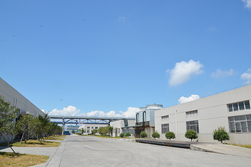 Company environment