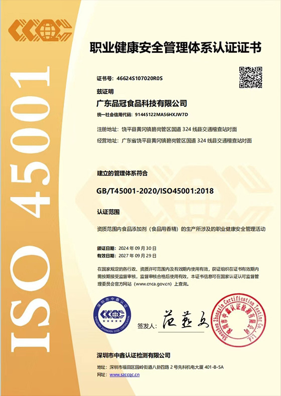 ISO 45001 职业健康安全管理体系