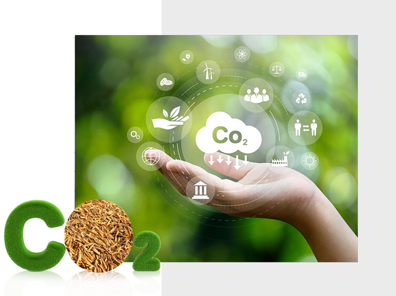 Anhui Evolution Silicon Nanomaterials Technology Co., Ltd.